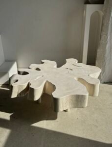 Table basse en manguier blanchi – Pièce Unique – Image 13