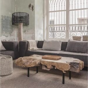 Table basse ROOT en teck recyclé avec pieds en fer