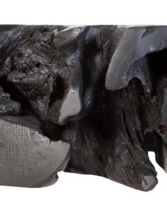 Table d’appoint ROOT en teck recyclé avec pieds en fer noir, design éthique