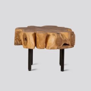 Table d’appoint ROOT en teck recyclé avec pieds en fer noir, design éthique