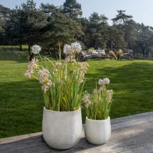 Set de 2 pots bas ronds en terre d’argile